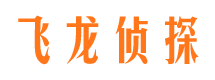 温县私家侦探